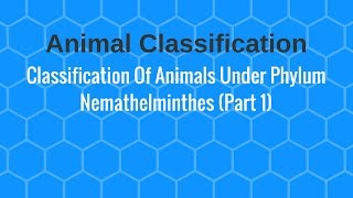 Classification Of Animals Under Phylum Nemathelminthes Part 1 [upl. by Culberson]