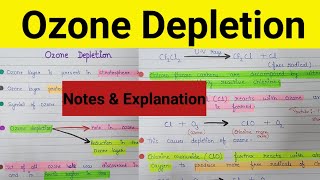 Ozone layer depletion  Depletion of ozone layer  Ozone hole  what is ozone depletion [upl. by Arand382]