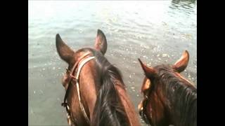 Galveston Glen Campbell  Cowboyin Louisiana Style  Johnson Bayou [upl. by Nymsaj]