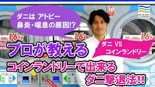 コインランドリーの乾燥機でダニ退治する方法【プロが教える！】ブルースカイランドリー [upl. by Attennod]