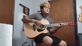 Luke Combs  Beautiful Crazy Cover [upl. by Jacinda106]