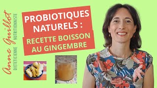 Probiotiques naturels  boisson au gingembre lactofermentée [upl. by Chlori949]