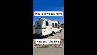 Rare Roaming Retro Dolphin Camper Walkaround  Explore Vintage Vibes [upl. by Greeley404]