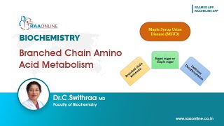 Branched Chain Amino Acid Metabolism  BCAA Catabolism  Pathway and Regulation [upl. by Gnous364]