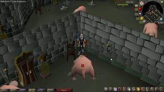 OSRS Bloodveld safe spot Range  Slayer Tower  2024 [upl. by Fesuoy]