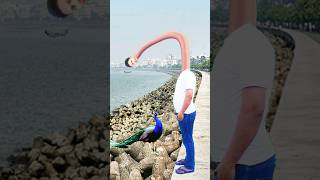 Artificial snake water transport to rescue drought special effect funnyvfx youtubeshorts viral [upl. by Gaylor554]