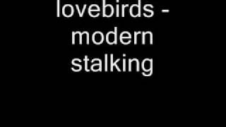 lovebirds  modern stalking [upl. by Gustafsson]