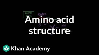 Amino acid structure  Chemical processes  MCAT  Khan Academy [upl. by Casmey534]