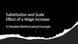 Substitution Effect and Scale Effect of A Wage Increase Mathematical Example [upl. by Wat]