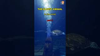 Which Animal Holds the Title for the Oldest Animal in the World  Part 2 AnimalFacts nature [upl. by Ayifas]