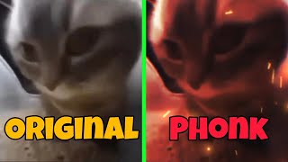 Chipi Chipi Chapa Chapa Original vs Phonk [upl. by Kimmel]