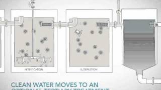 Moving Bed Biofilm Reactor MBBR video from Headworks BIO [upl. by Tanhya438]