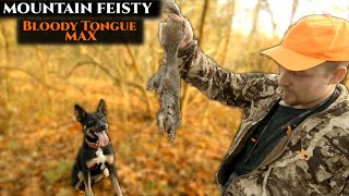 Turkey Day Squirrels  Public Land Squirrel Hunt with a Mountain Feist [upl. by Jehius]