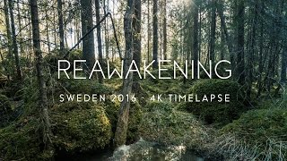 Reawakening Sweden  4K UHD [upl. by Leirbma]