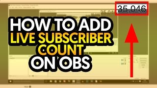 How To Add Live Subscriber Count on OBS [upl. by Shing307]