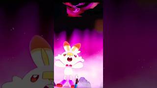 Scorbunny 🔥🐰 goes Dynamax [upl. by Nwahsiek935]