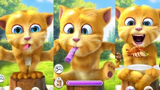 new funny video talking ginger funny 😹 cat  talking ginger 2 mod apk latest version talkingtom [upl. by Bowen]