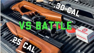 AEA Challenger Air Rifle 25 VS 30 Caliber Full Review Economy Meets POWER [upl. by Reiser]