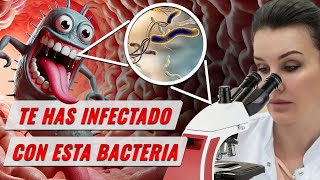 Gastritis y Úlcera Gástrica Causas Comunes y Cómo Tratarlas [upl. by Derron]