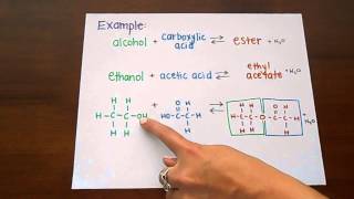 Ester Formation [upl. by Enovi]