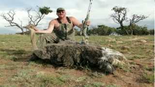 Muzzleloader Hunting Ostrich The worlds largest bird with a Muzzleloader [upl. by Maximilian]