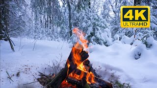 🔥 Cozy Campfire in the Winter Forest 10 HOURS Campfire with Burning Logs and Nature Sounds [upl. by Aidualc41]