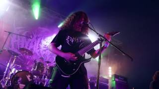 ANALEPSY  Engorged Absorption OFFICIAL LIVE VIDEO [upl. by Lange47]