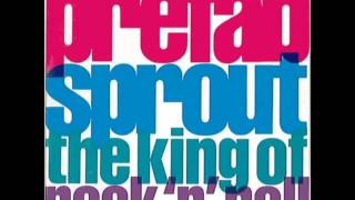 Prefab Sprout  The King Of Rock n Roll [upl. by Ainnet352]