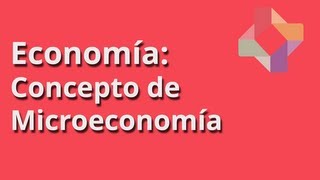 Concepto de Microeconomía [upl. by Sikram420]