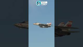 F14 Tomcat Flyby shorts msfs2020 [upl. by Yevre787]