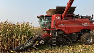 A Farmer Harvesting 300 Bushel Corn With a Case IH 9250 and a Grain Handling System Tour S2 E24 [upl. by Fishbein]