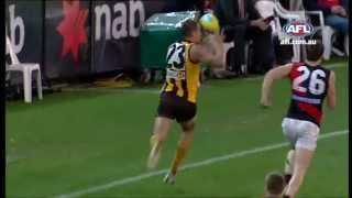 The Rivalry  Essendon v Hawthorn  AFL [upl. by Anihtyc]