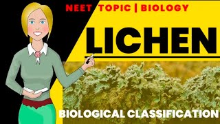 Algae in Hindi  लाइकेन का आर्थिक महत्व Economic importance of Lichens  Botany [upl. by Daniels531]