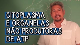 Organização Citoplasmática  Extensivo Biologia  Descomplica [upl. by Dnyletak181]