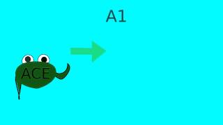 How does lisinopril or ACE inhibitors work [upl. by Haimehen]