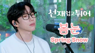 10CM  십센치  선재 업고 튀어 OST 봄 눈  Spring Snow [upl. by Egag509]