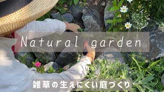 【究極の雑草対策‼︎】我が家の庭に雑草が生えにくい理由🌿秋まで楽しめる草花紹介 [upl. by Nnylacissej]