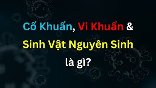 Cổ Khuẩn Vi Khuẩn và Sinh Vật Nguyên Sinh  Sinh Học  tập 35  Tri thức nhân loại [upl. by Whitcher]