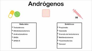 Andrógenos y antiandrógenos  Farmacología Sexual Masculina Parte 2 [upl. by Edmon]