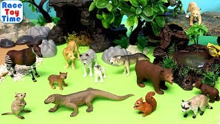 Schleich Lion Playset Animal Toys 4 Lions Safari Zoo Learn Animals [upl. by Yerdua]