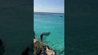 Essas você não pode deixar de conhecer 💙🇨🇼 curacao curacaoisland travel beach island [upl. by Lengel]