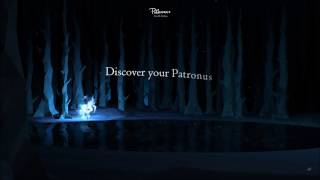 Pottermore Patronus Quiz [upl. by Nilek]