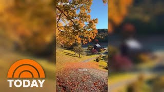 Feud over fall foliage as local Vermont residents ban leaf peepers [upl. by Odlonra]