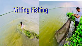 Cast Netting Fishing 🐋🐋  आसानी से मछली पकड़ा कास्ट नेटिंग से [upl. by Ennahteb]