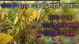 सोयाबीन की नई किस्म RVS 124 क्या ये फसल क्रांति लाएगी [upl. by Yror]