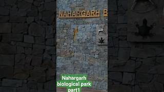 Lk🌀 With Nature Nahargarh biological park part1 viral [upl. by Heisser]