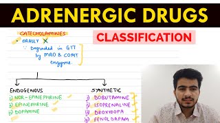 Autonomic Pharmacology  14  Adrenergic Drugs Classification  EOMS [upl. by Adnaerb]