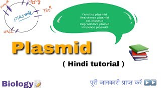 Plasmid in hindi ll biology ll [upl. by Ihcehcu508]