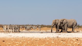 Namibië 2023 [upl. by Spragens]