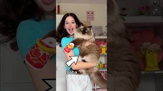 Trying VIRAL MCDONALD’s TINY CROCS on my CAT 😱🍟😽 so cute [upl. by Schnur]